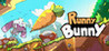 Runny Bunny Image