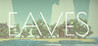 Eaves Image