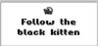 Follow the Black Kitten Image