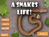A Snake's Life Image