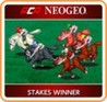 ACA NeoGeo: Stakes Winner Image