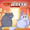 Cat Break Head to Head Image