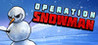 Operation Snowman Image
