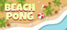 Beach Pong Image