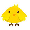 Bird Life - Paid Image
