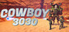 Cowboy 3030 Image