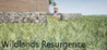 Wildlands Resurgence