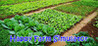 Happy Farm Simulator Image