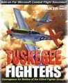 Tuskegee Fighters Image