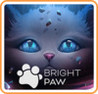 Bright Paw Image