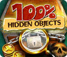 100% Hidden Objects Image