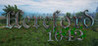 Hereford 1642