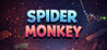 Spider Monkey Image