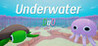 Underwater DuO Image