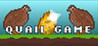 Quail Game