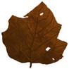 Leaf Blower Image