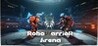 RoboWarrior Arena Image
