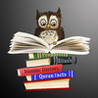 Wise Owly Islamic History Image
