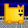 Box Cat Bash Image