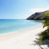 Lost in Paradise Image