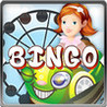 An Amusement Park USA Wild online BINGO with Theme and Water Parks Image