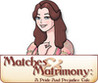Matches & Matrimony: A Pride and Prejudice Tale Image