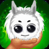 Kuri Pets Image