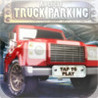 American truck 3D Driving Image