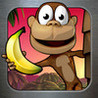 Monkey Bongo Image