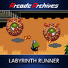 Arcade Archives: Labyrinth Runner Image