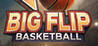 Big Flip Basketball