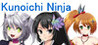 Kunoichi Ninja Image