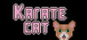 Karate Cat Image