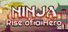 Ninja: Rise of a Hero