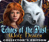 Echoes of the Past: Wolf Healer Image