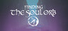 Finding the Soul Orb Image