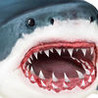Ultimate Shark Simulator Image