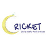 Cricket: Jae's Really Peculiar Game