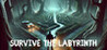 Survive the Labyrinth