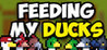 Feeding My Ducks Image