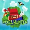 Pixel Hunter Image