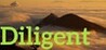 Diligent Image