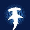 Shoal of fish Image