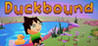 Duckbound Image