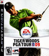 Tiger Woods PGA Tour 09 Image