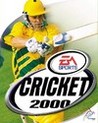 Cricket 2000 Image