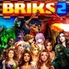 BRIKS 2 Image