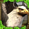 Griffin Simulator Image