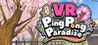 VR Ping Pong Paradise Image