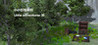 Little Adventurer III Image